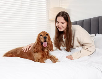 Pet