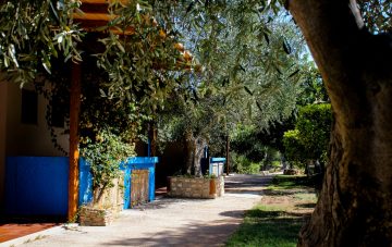 Villette corpo centrale (Petites-villas dans la zone principale)