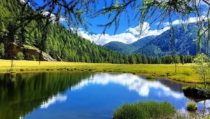 Che settimana pazzesca: scopri tutte le attività per te