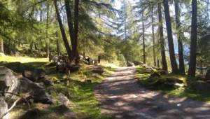 Attività pazzesche per la tua settimana in Val di Pejo