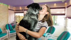 EASY DOG: IN VACANZA CON IL CANE