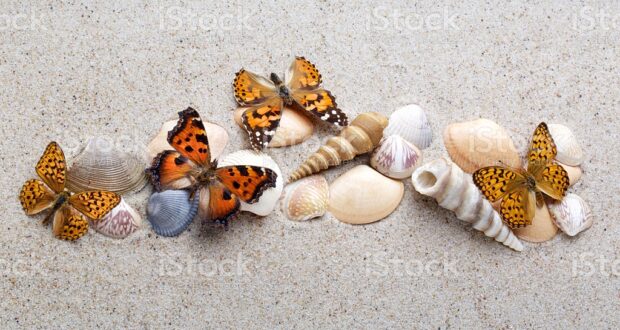 Agosto. Offerta LONG STAY!