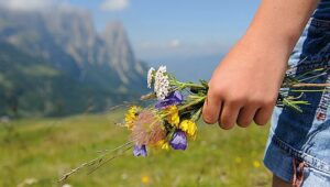 Semaines vertes : 1 jour gratuit pour vous