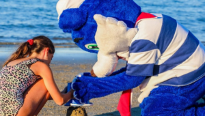 BUCHEN SIE IHREN URLAUB IN BELLARIA IM VORAUS