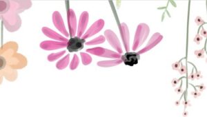 Offre de printemps du 11 avril au 9 juin!