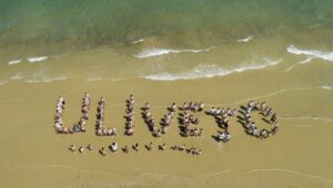 30.07 - 06.08: guarda che prezzo!