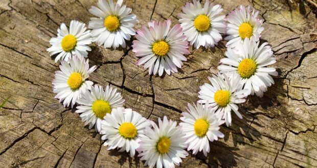 Offerta Ponte 1° Maggio in Hotel Fronte Mare