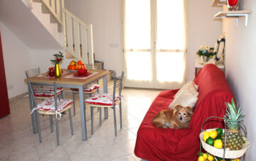 Bungalow Adriatico Deluxe