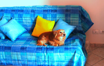 Bungalow Adriatico Superior