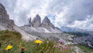 Offre du salon mondial du tourisme