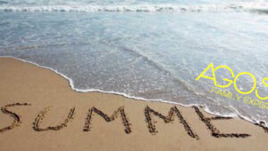 ENDLESS SUMMER: ein endloser Sommer!