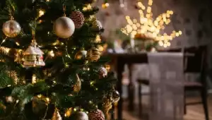 Prenota la vacanza al mare entro dicembre e tanti importantissimi sconti ed offerte vi aspettano!