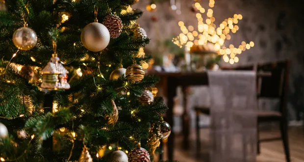 Prenota la vacanza al mare entro dicembre e tanti importantissimi sconti ed offerte vi aspettano!