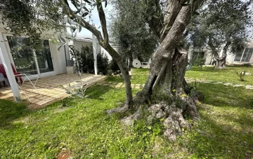 Vierbettzimmer mit Blick auf den Garten