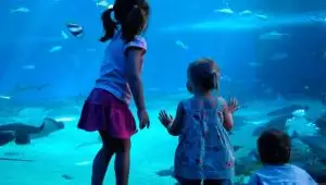 PONTI PRIMAVERILI AI PARCHI DIVERTIMENTO