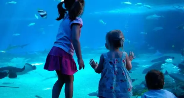 WEEK END PRIMAVERILI AI PARCHI DIVERTIMENTO