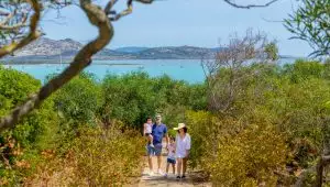 Transfer + spiaggia + bevande + navetta La Pelosa