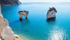 Benvenuta estate con il -25%!