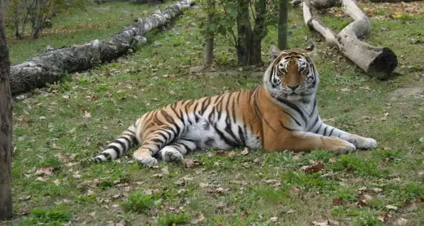 Détente et amusement : les vacances idéales à Lignano