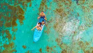 Spiaggia con piscina, bevande, transfer INCLUSI!