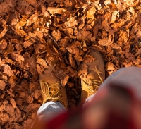 Autunno