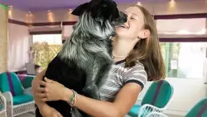 Vacanza Pet Friendly: PREZZO BLOCCATO