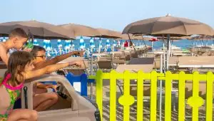 The Best Discount only by December 31st!