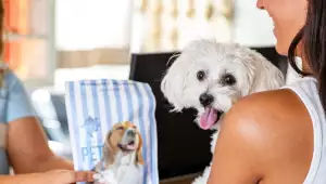 Il tuo AMICO PELOSO in vacanza con te