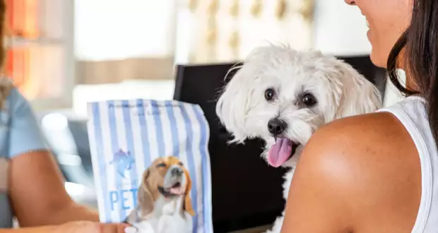 Il tuo AMICO PELOSO in vacanza con te