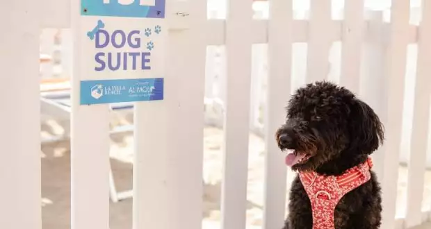 La tua famiglia al completo con il tuo amico fedele a 4 zampe!