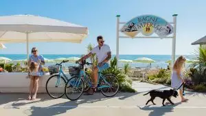 Finalement l’école est terminée : allons tous à la plage !