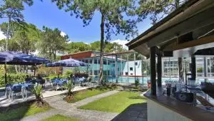 Offer September 2026