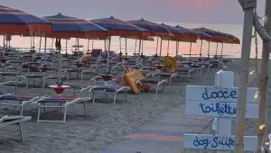 DAL 5 AL 20 SETTEMBRE