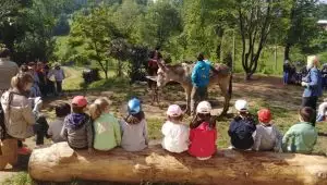 🌊 Offerta Speciale Family – Top week giugno 13-20.06