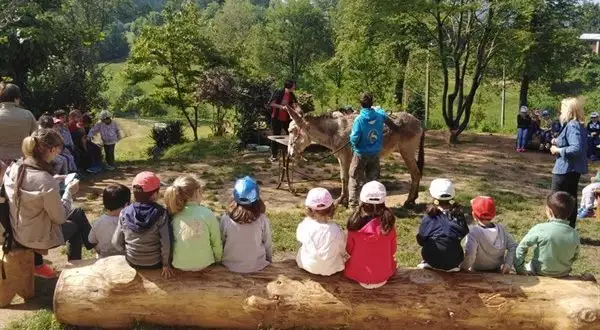 🌊 Offerta Speciale Family – Top week giugno 13-20.06