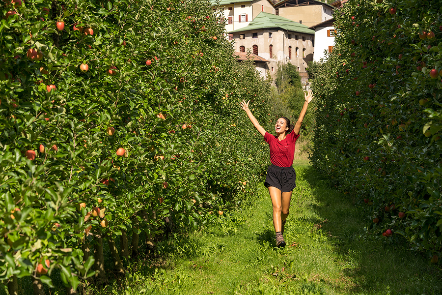 Escursione tra i meleti del Trentino, inclusa in formula All Inclusive