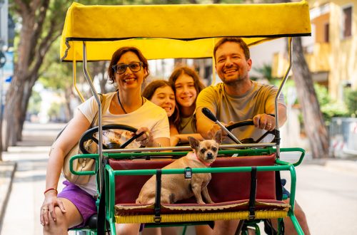 Parchi divertimento in Italia: guida ai pacchetti hotel + ingresso all inclusive